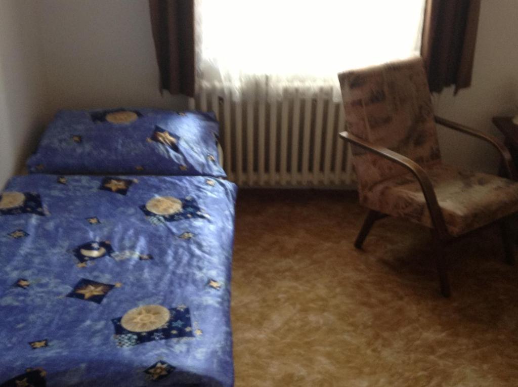 At Pension تشيسكي بوديوفيتسه الغرفة الصورة