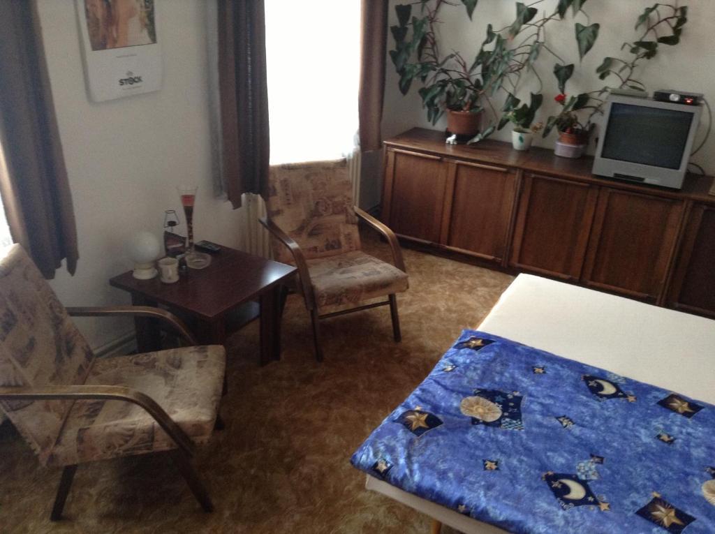At Pension تشيسكي بوديوفيتسه الغرفة الصورة